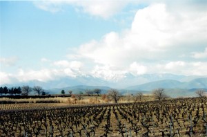 French Mountains Village Wine Imports